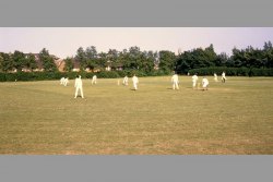[329] 1966 Cricket on London Road Playing Field