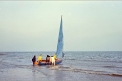 [336] 1966 Sailing