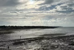 5429c63b-4fbf-4438-b9e5-cca1dcc1fe80